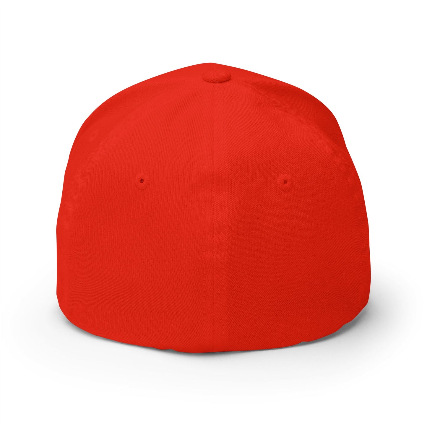 Embroidered 'Aim for the Stars' Men’s Red Organic Baseball Cap — "Believe build become"